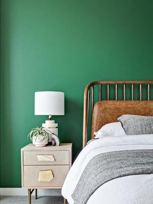 kelly green wall paint color idea