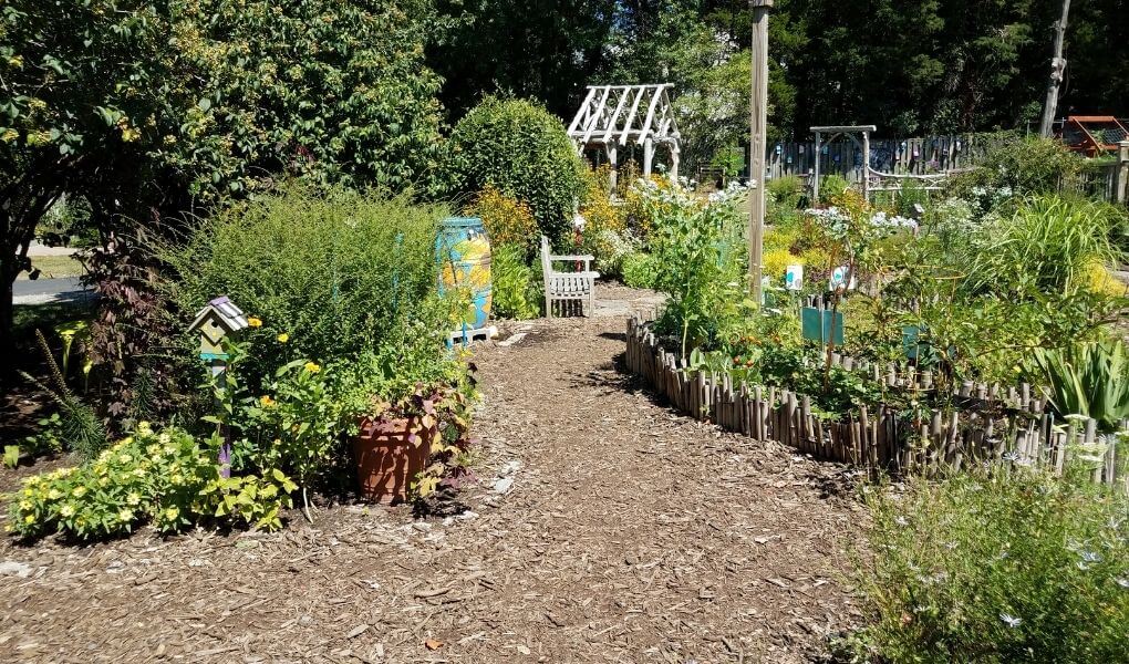 garden path with mulch or gravel