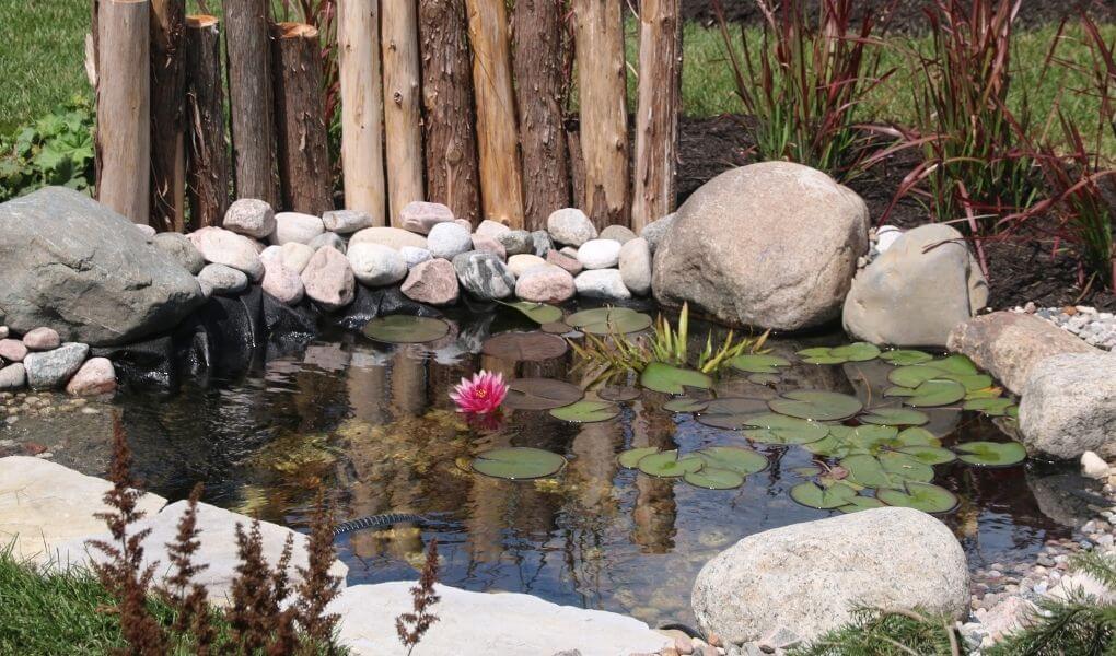 incorporate a small pond