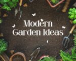modern garden ideas
