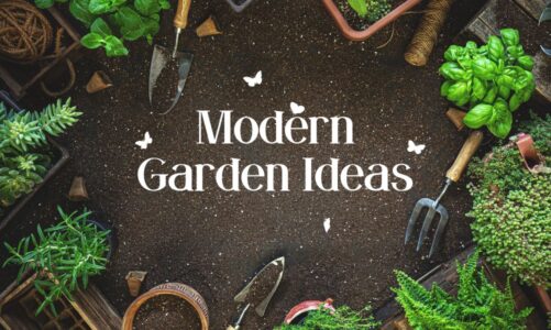 Modern Garden Ideas on a Budget
